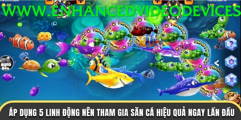 Game Bắn Cá Đổi Thưởng - du88