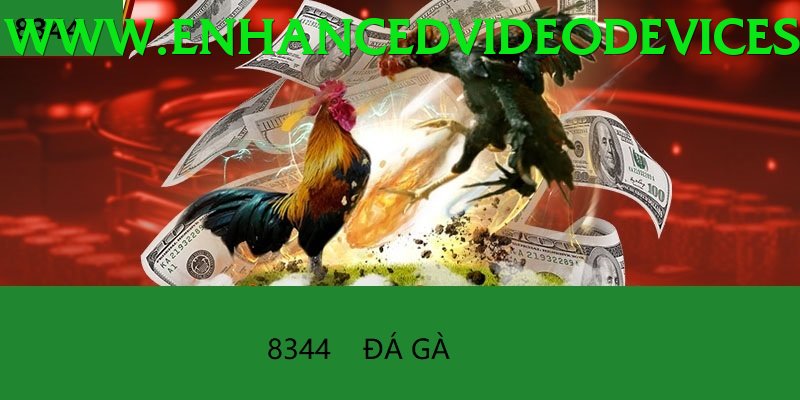 Trường Đấu Đá Gà Chuyên Nghiệp